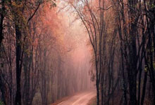 哪里能看乒乓球直播在线直播?这些精彩看点别错过!